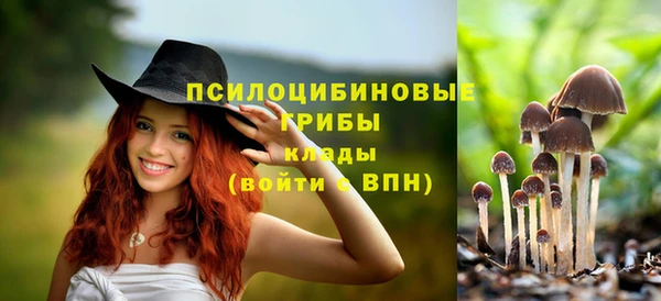 прущая мука Медногорск