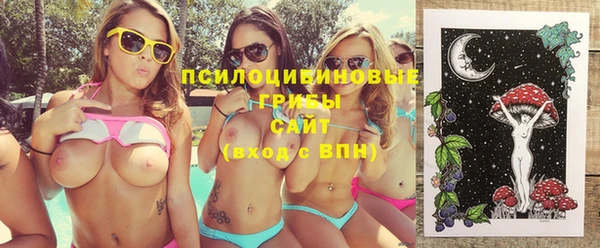 бошки Бердск