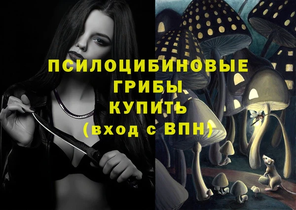 прущая мука Медногорск